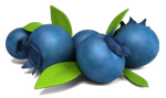 Blueberries