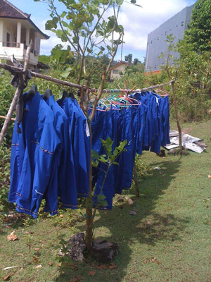 Gi's drying